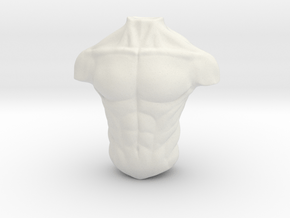 3D Male torso  in White Natural Versatile Plastic
