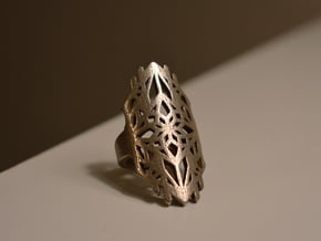 Gothic Ring in Polished Bronzed Silver Steel: 8.5 / 58