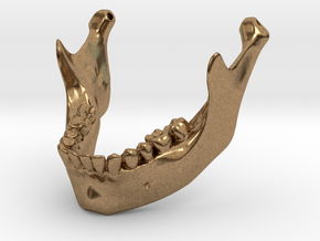 Human Mandible - 1/2 size in Natural Brass