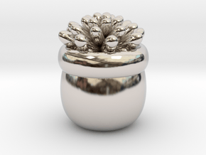 Succulent No.1 in Rhodium Plated Brass