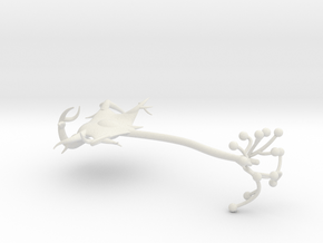 neuron cell model in White Natural Versatile Plastic
