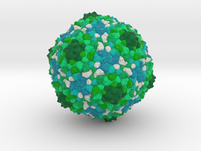 Staphylococcus aureus Phage 80α in Full Color Sandstone