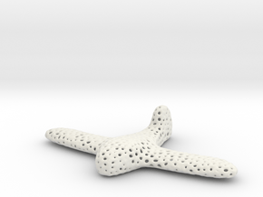 Voronoi Aeroplane Toy in White Natural Versatile Plastic