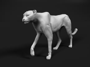 Cheetah 1:18 Walking Male 3 in White Natural Versatile Plastic