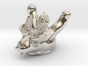 Thecacera pacifica in Rhodium Plated Brass: Small