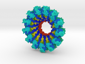 Parainfluenza Virus Nucleocapsid in Full Color Sandstone