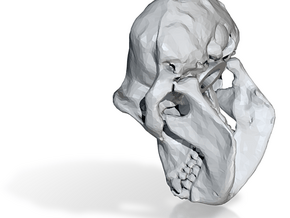 chimp skull 20mm fixed (repaired) decimate1 in Tan Fine Detail Plastic