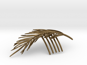 Palm Comb in Natural Bronze