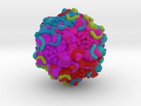 Protoparvovirus in Full Color Sandstone