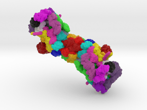 26S Proteasome in Full Color Sandstone