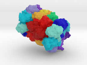 20S Proteasome in Full Color Sandstone