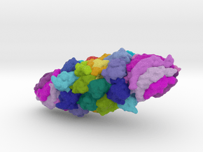 20S Proteasome with PA26 in Full Color Sandstone