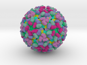Barmah Forest Virus in Full Color Sandstone