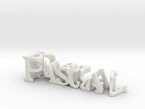 3dWordFlip: Pascal/Rebecca in White Natural Versatile Plastic