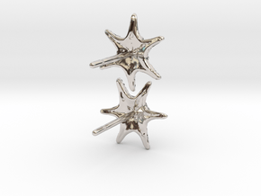 Sea Star Earrings in Rhodium Plated Brass