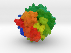 Proteinase K in Full Color Sandstone
