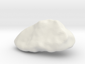 Trilobite - Fossil in White Natural Versatile Plastic