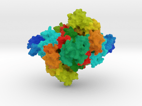 Aspartyl-tRNA Synthetase in Full Color Sandstone
