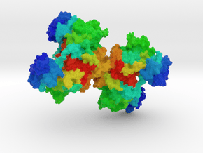 Histidyl-tRNA Synthetase     in Full Color Sandstone