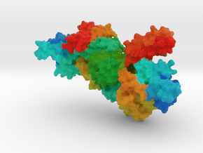 Tryptophanyl-tRNA Synthetase in Full Color Sandstone