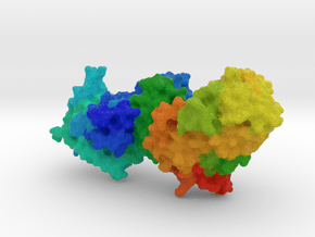 Glutaminyl-tRNA Synthetase in Full Color Sandstone