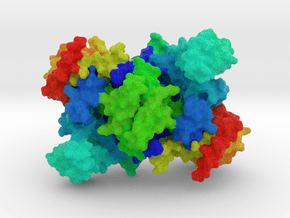 Lysyl-tRNA Synthetase in Full Color Sandstone