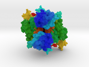 Glycyl-tRNA Synthetase in Full Color Sandstone