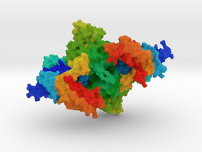 Arginyl-tRNA Synthetase in Full Color Sandstone