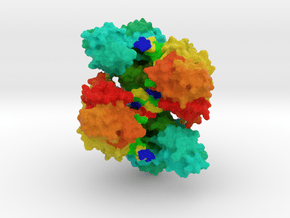 Topoisomerase IIβ with DNA in Full Color Sandstone