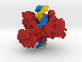 Topoisomerase I with DNA in Full Color Sandstone