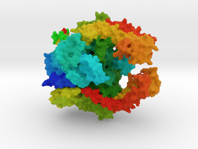 Topoisomerase IIα in Full Color Sandstone