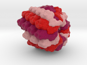 Measles Virus in Full Color Sandstone
