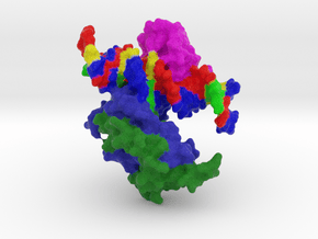 FOXP2 bound to DNA in Full Color Sandstone