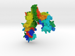 Arrestin 3 Protein in Full Color Sandstone