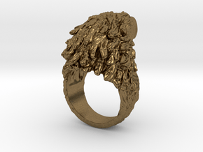 Eagle Ring in Natural Bronze: 5 / 49
