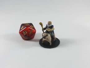 Gnome Wizard on a Pug Mount!  in Tan Fine Detail Plastic