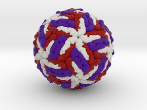 Tick-Borne Encephalitis Virus in Full Color Sandstone