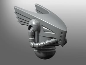 Falconiae pattern Prime Helmet in Smooth Fine Detail Plastic: Small