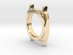case in 14K Yellow Gold