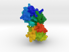 PTEN Tumor Suppressor in Full Color Sandstone