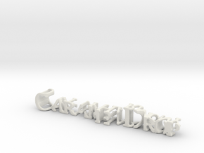 3dWordFlip: CaramelDrop/DostlukHarmony in White Natural Versatile Plastic