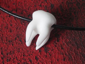 Tooth Charm / Pendant in White Natural Versatile Plastic