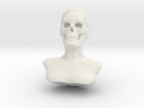 Skull Head in White Natural Versatile Plastic