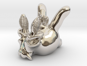 Thecacera picta in Rhodium Plated Brass: Small