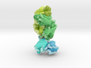Human Antibody Fab Targeting fHbp (Ribbon) in Glossy Full Color Sandstone: Small