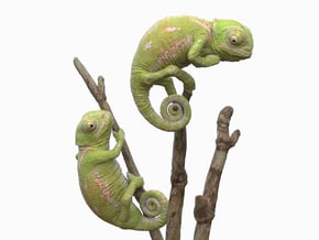 Chameleon desktop display in Glossy Full Color Sandstone: Medium