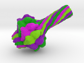 Bacteriophage Portal Protein in Full Color Sandstone