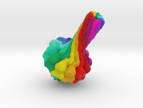 Bacteriophage Portal Protein in Full Color Sandstone