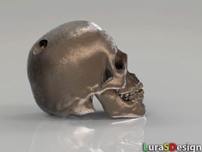 Human Skull - medium in Polished Bronzed Silver Steel