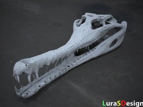 The Extinct Crocodile - 12cm Skull in White Natural Versatile Plastic